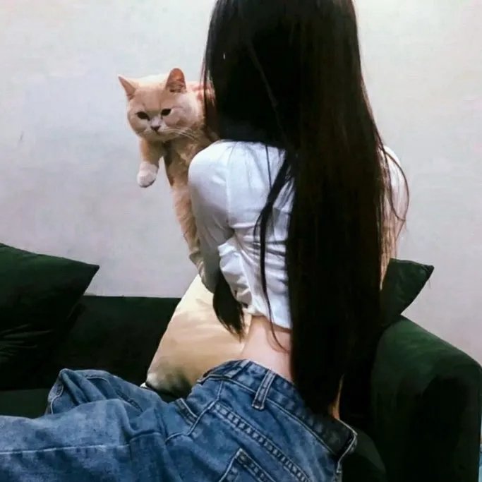 使徒行者2:谍影行动